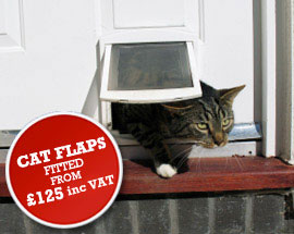 cat flap fitting near me